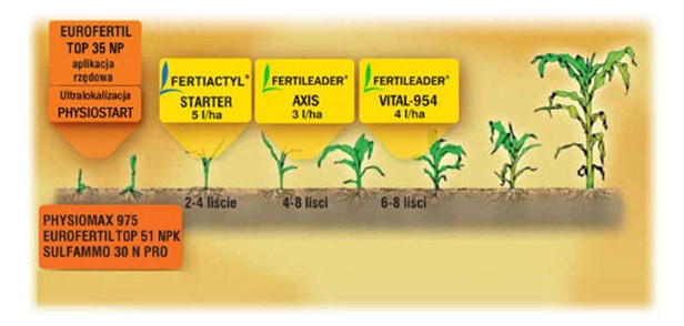 Kompleksowy-program-odżywiania-kukurydzy